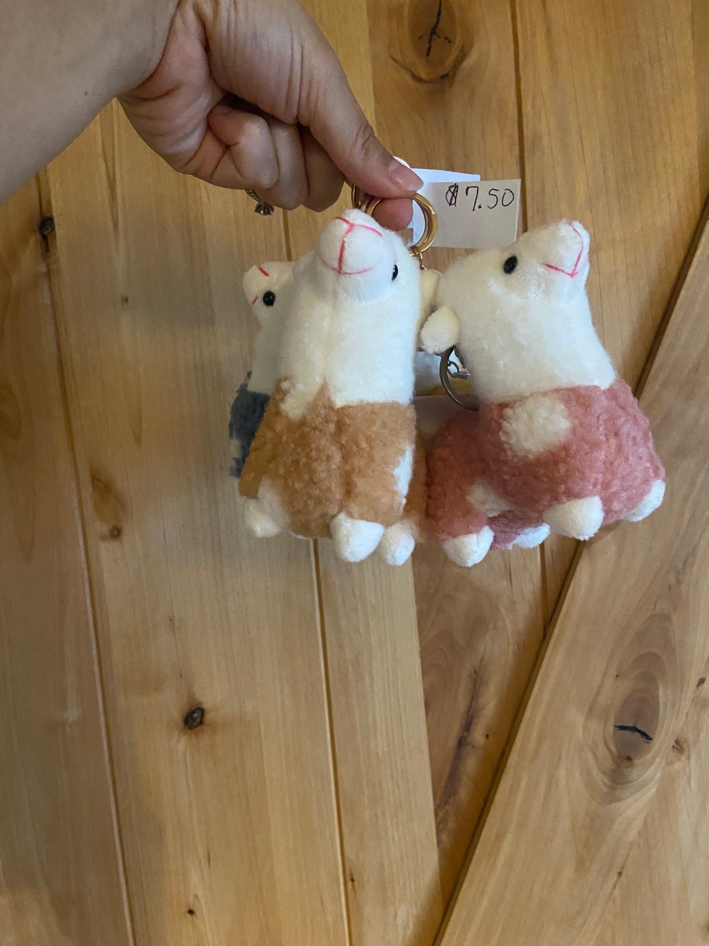 Gift- Keychains