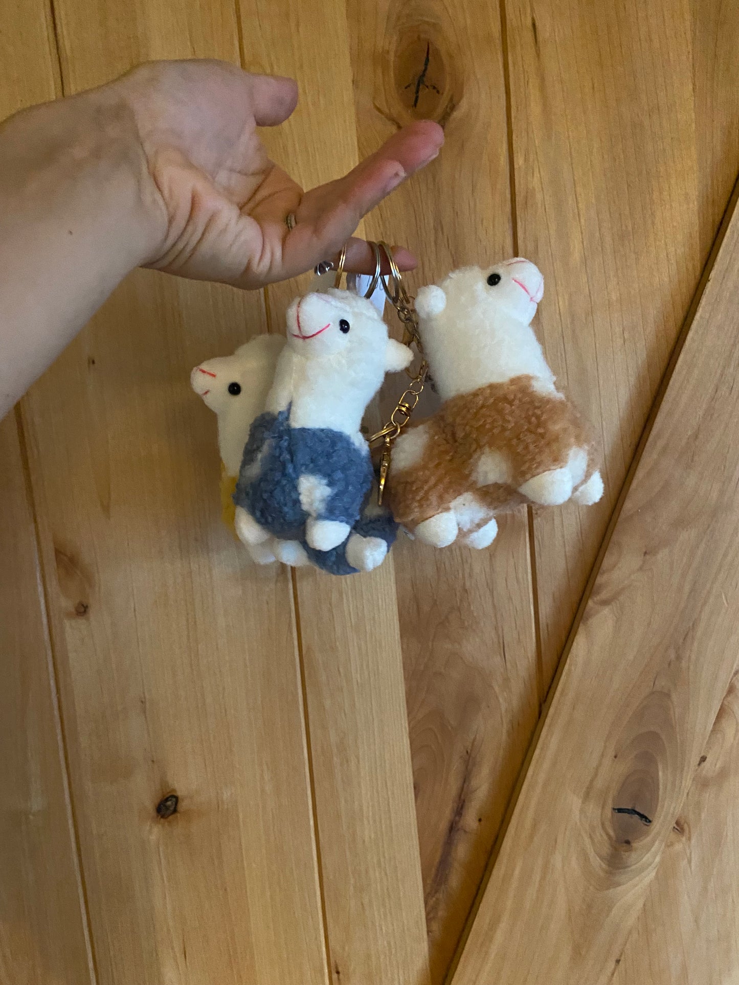 Gift- Keychains