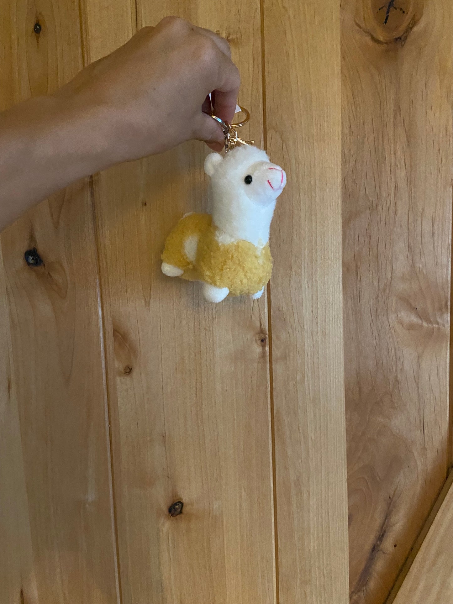 Gift- Keychains