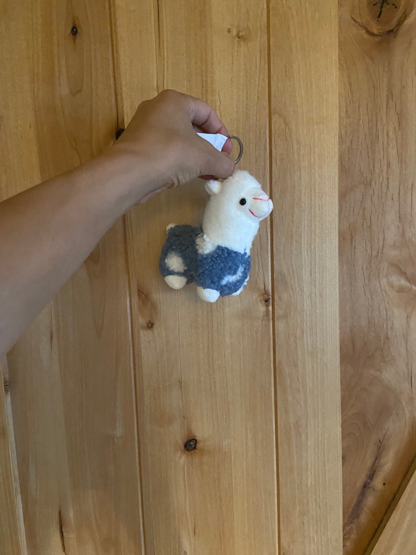 Gift- Keychains