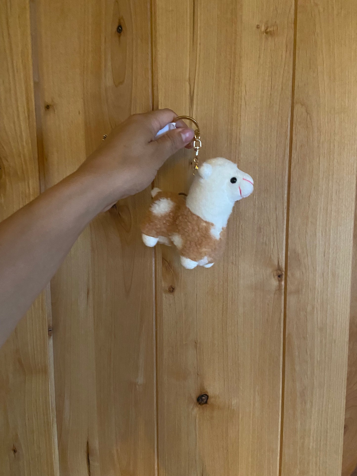 Gift- Keychains
