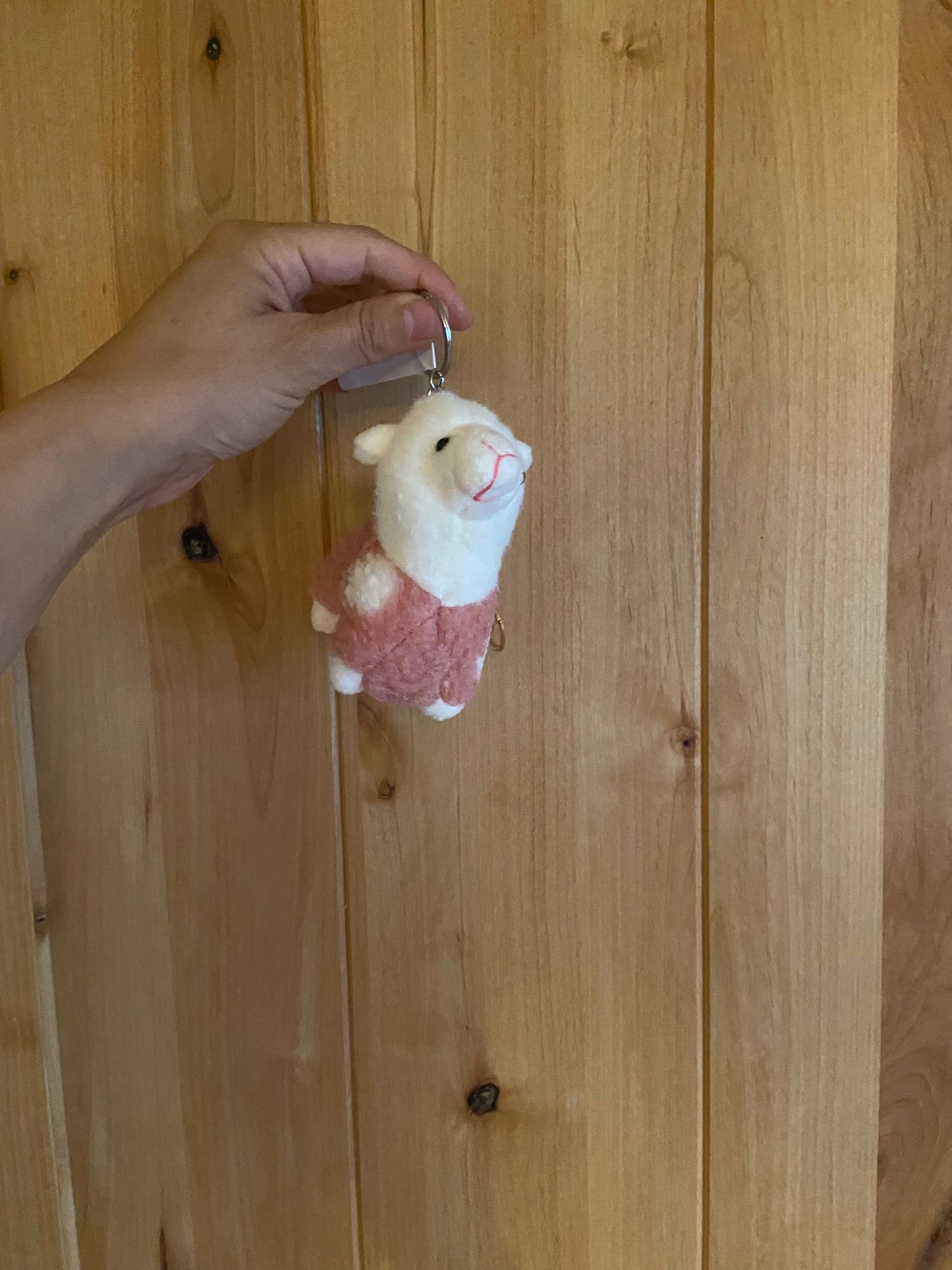 Gift- Keychains