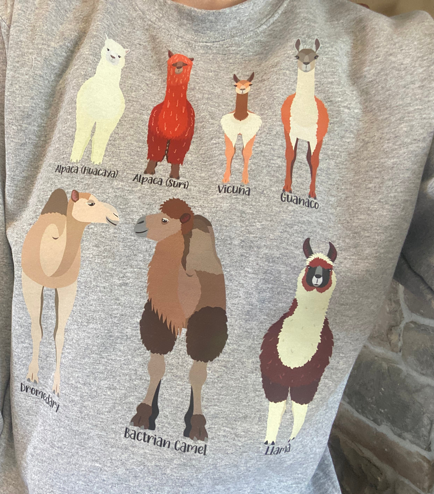 Camelid Shirt