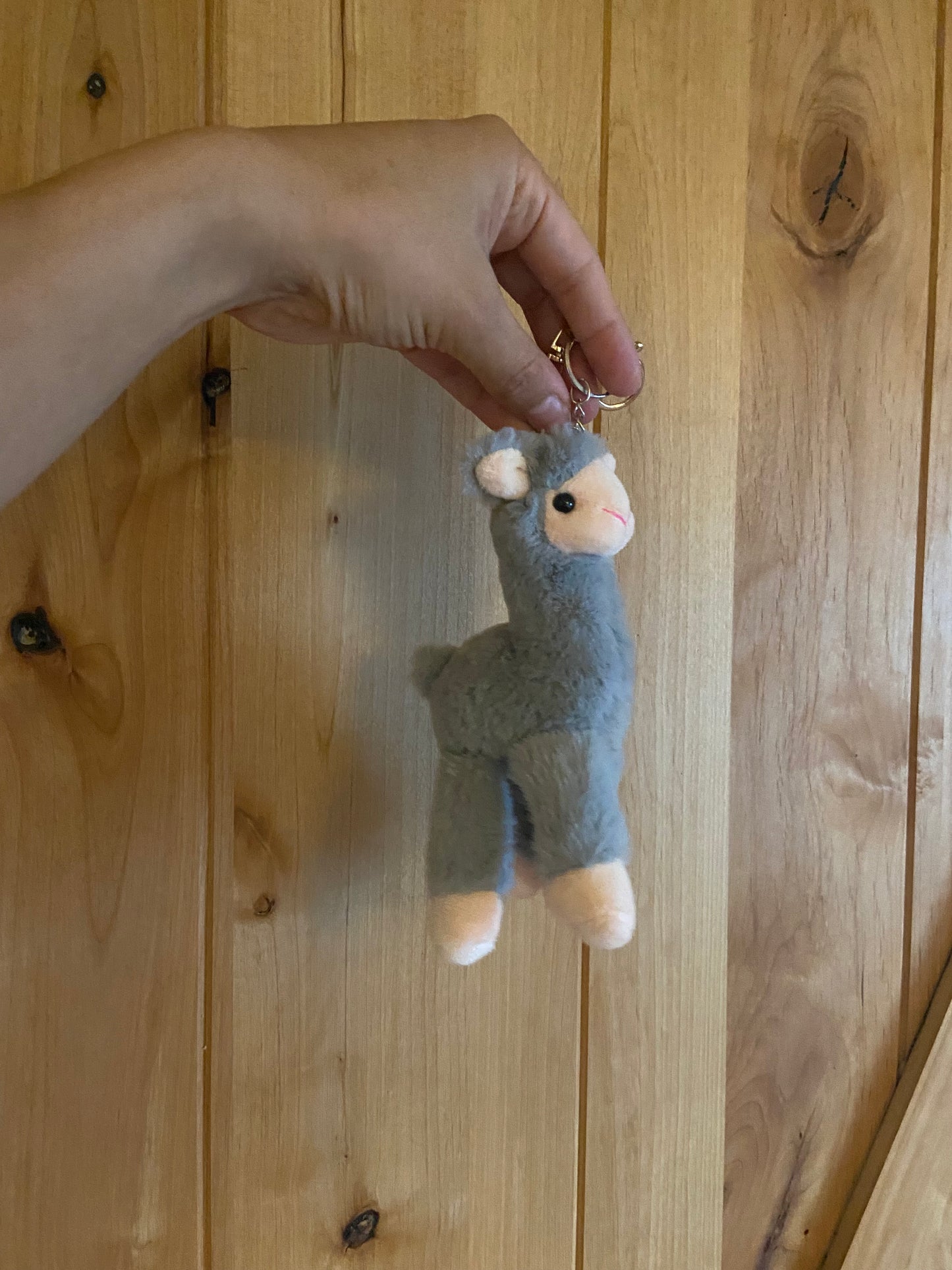 Gift- Keychains