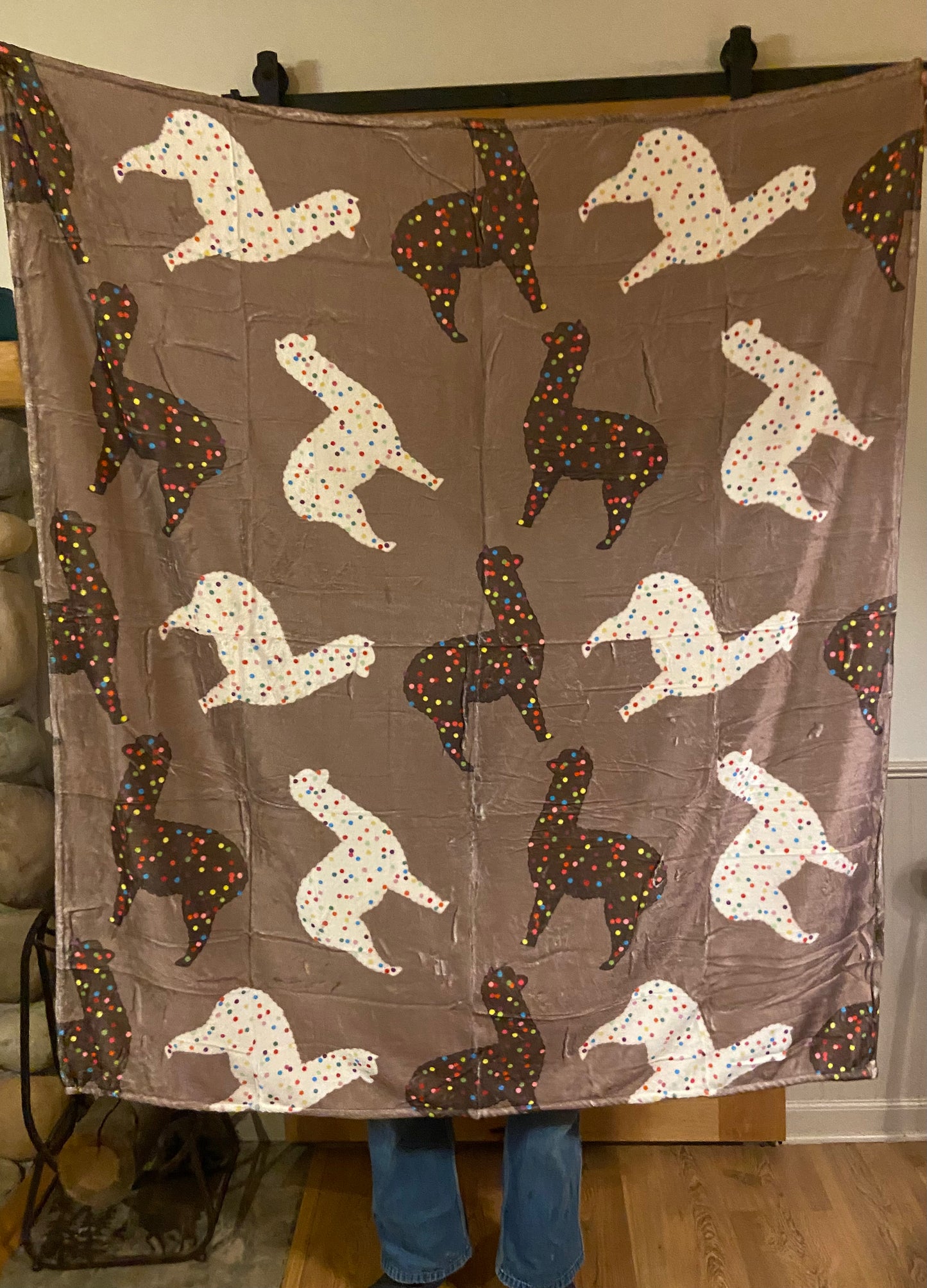 Children- Minky Blanket - 50” x60”