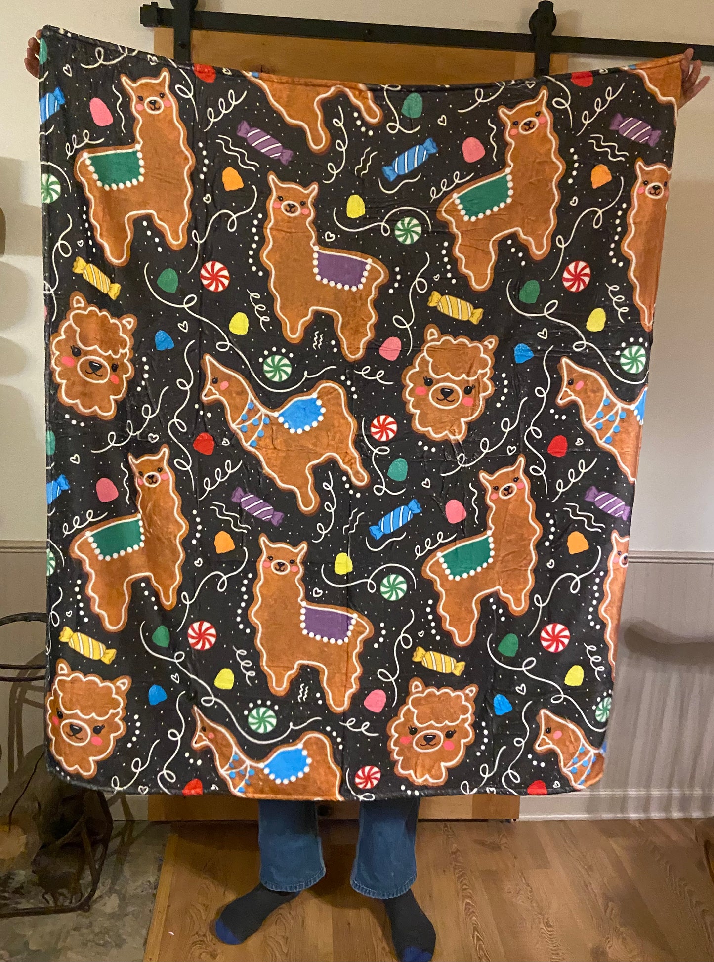 Children- Minky Blanket - 50” x60”