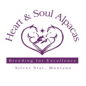 heartandsoulalpacas logo