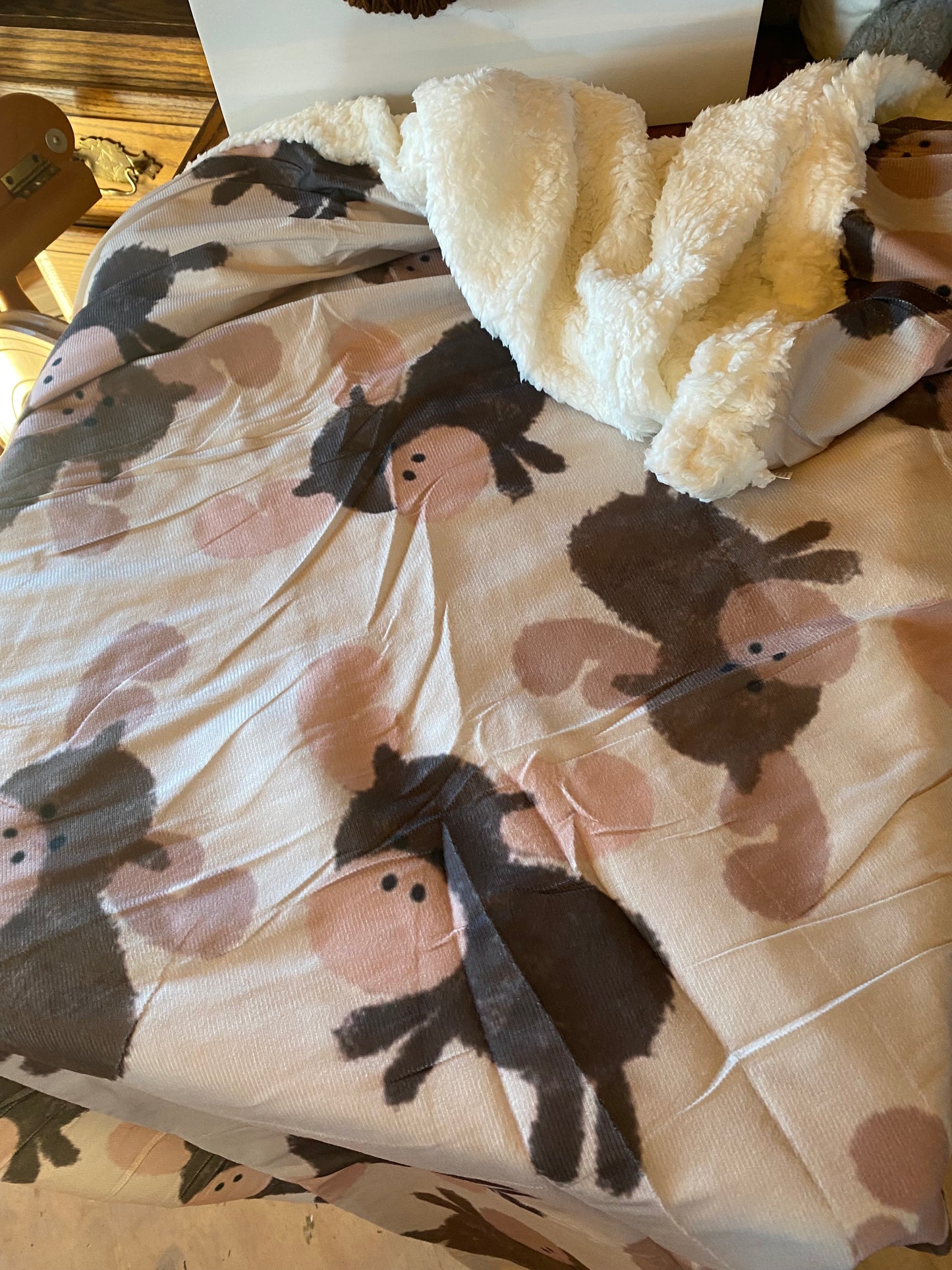 Children- Fuzzy Kids Blankets