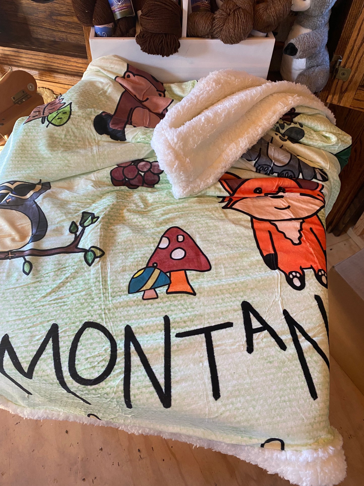 Children- Fuzzy Kids Blankets