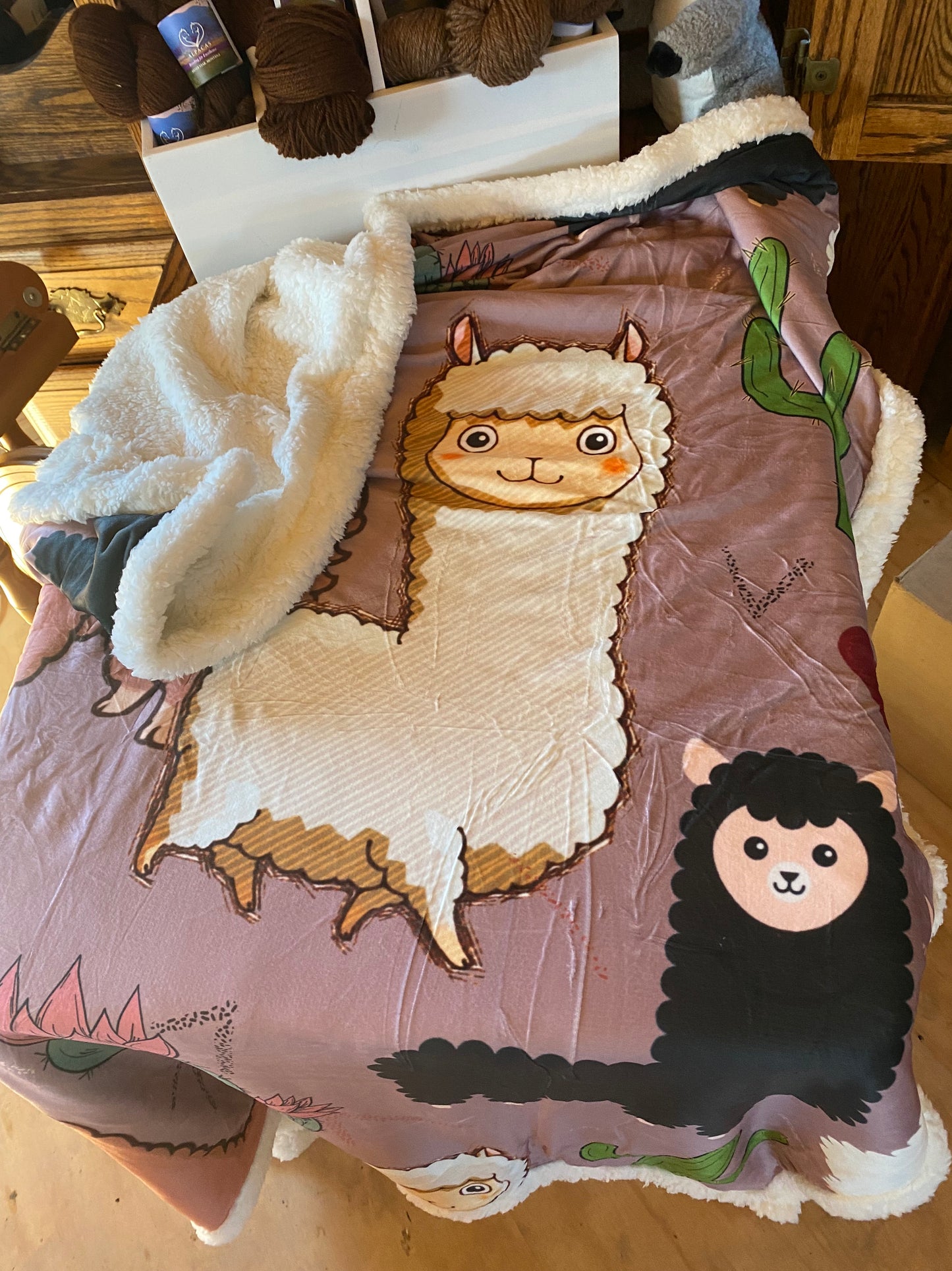 Children- Fuzzy Kids Blankets