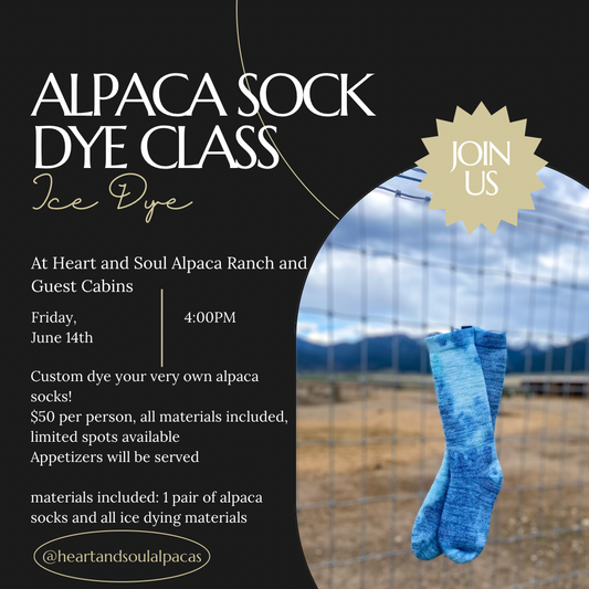 June 2024 Alpaca Sock Ice Dye Class