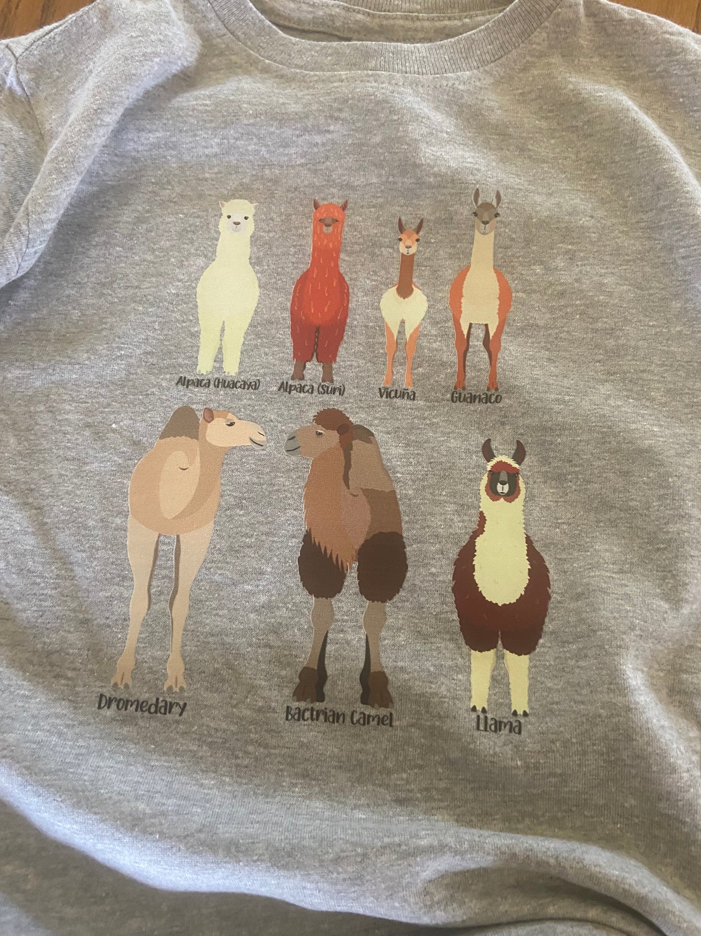 Camelid Shirt