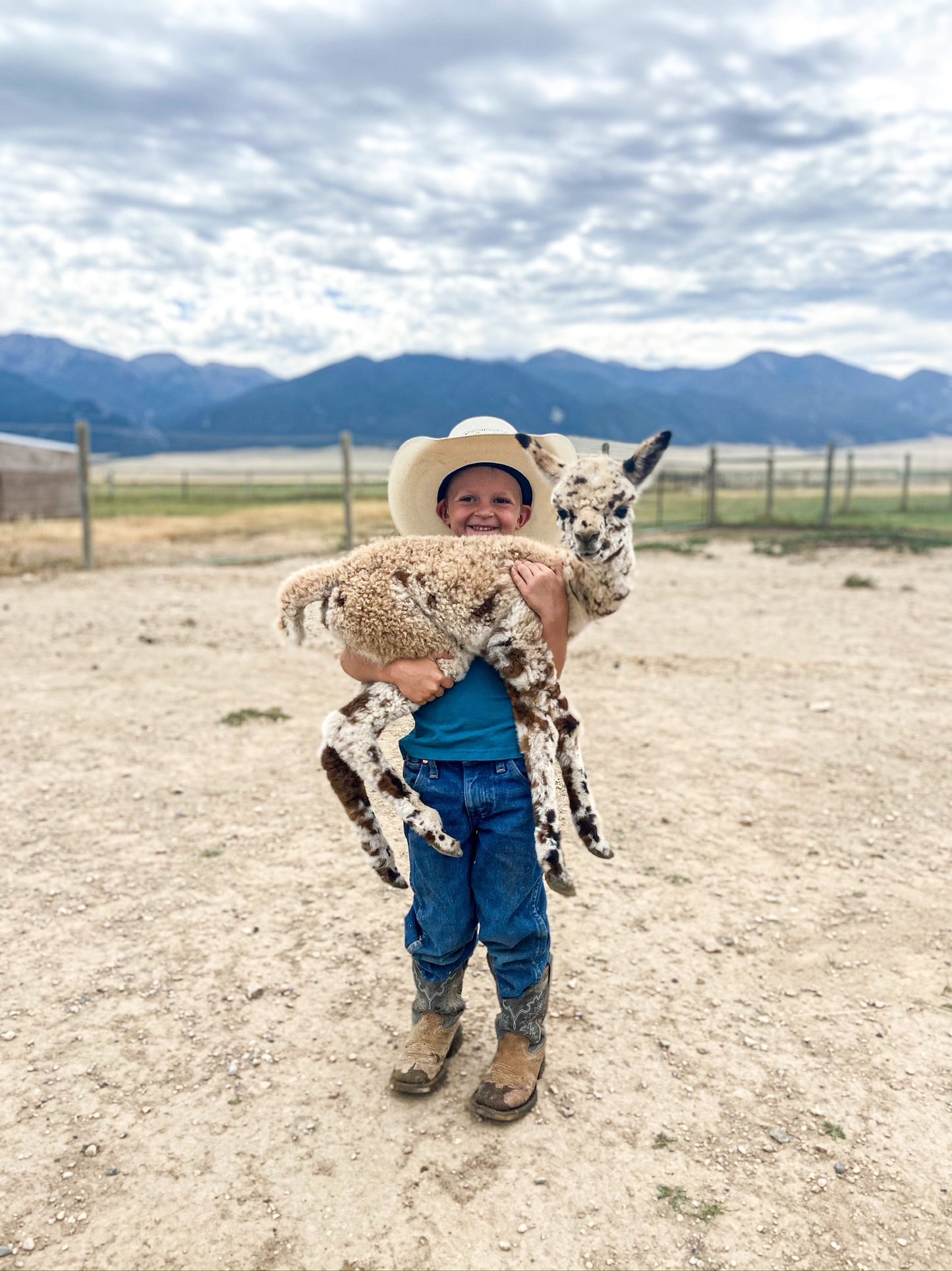 Photo with Alpacas