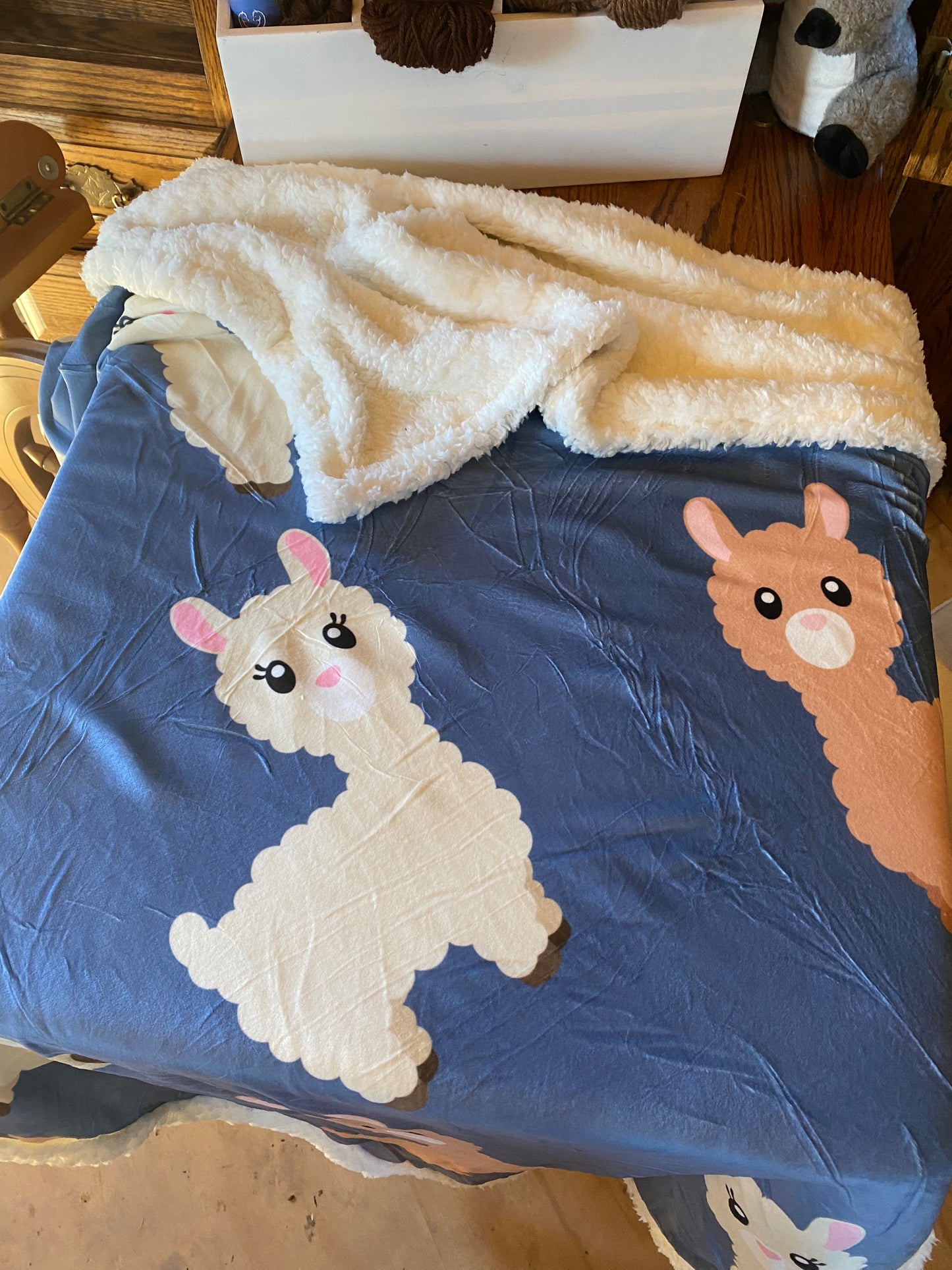Fuzzy Kids Blankets